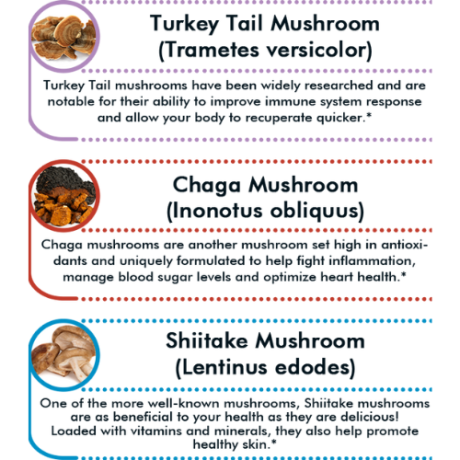 TOL-immunity-6