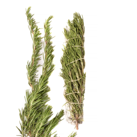 rosemary-sage-4